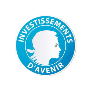 Investissement d'Avenir