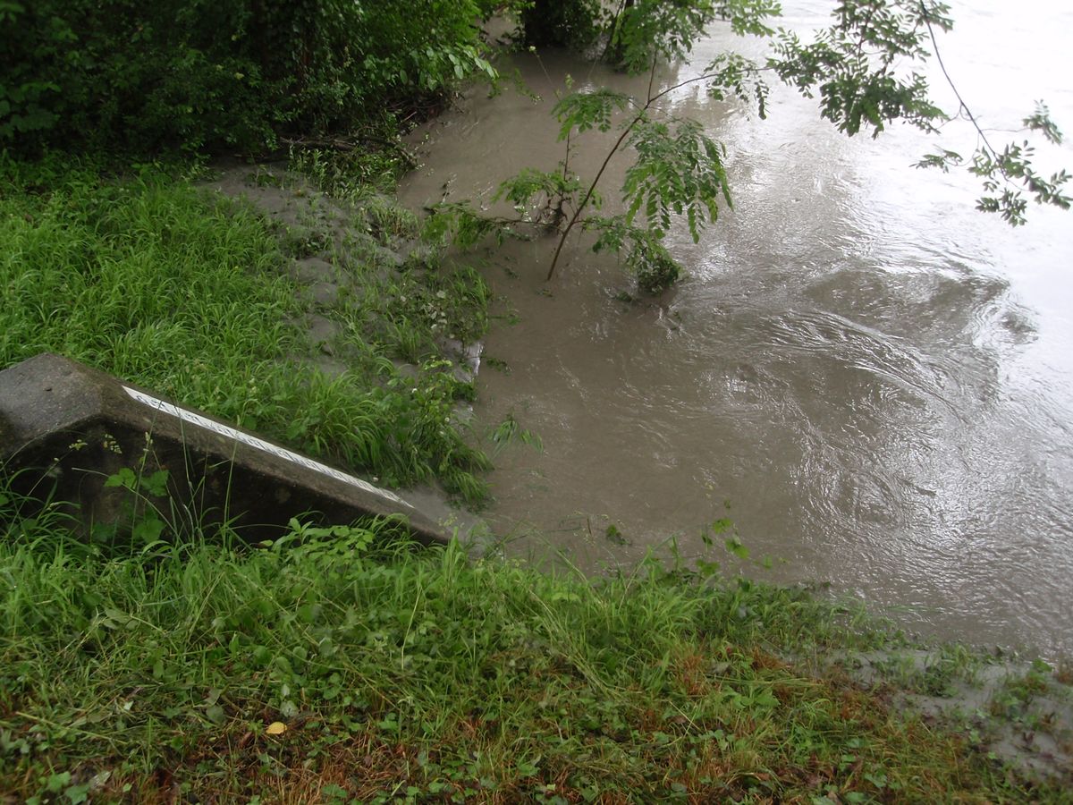 crue 2008